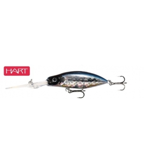 HART MATESITO 60F RAINBOW FLASH 174