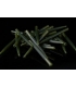 RIDGEMONKEY RM-TEC ANTI TANGLE SLEEVES WEED GREEN SIZE 25MM QTY 25