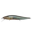 MEGABASS VISION ONETEN 110SP FA KISYU AYU