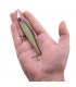 BERKLEY JERKBAIT KREJ FFS 100 TABLE ROCK
