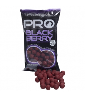 STARBAITS BOILIES PROBIOTIC BLACKBERRY 20MM 800GR