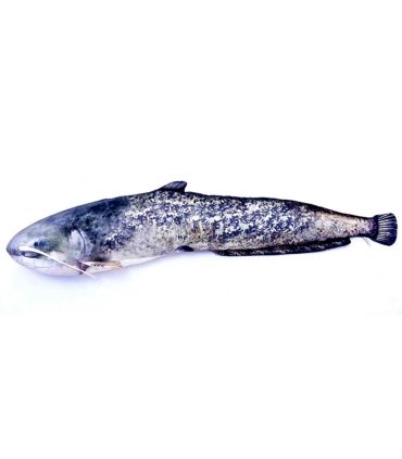 GABY PELUCHE COJIN SILURO 62CM