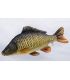 GABY PELUCHE COJIN CARPA COMUN 36CM