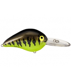 BOMBER MODEL NEXT GEN FAT 06 CHART BABY BASS