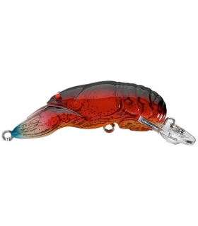 REBEL WEE CRAW NEST ROBBER