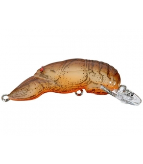 REBEL WEE CRAW CAJUN CRAWDAD