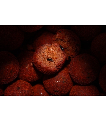 PRO ELITE BAITS GOLD BOILIES 20MM ROBIN RED 5KG