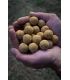 PRO ELITE BAITS SOLUBLE BOILIES 20MM PINEAPPLE & SCOPEX 3.5KG