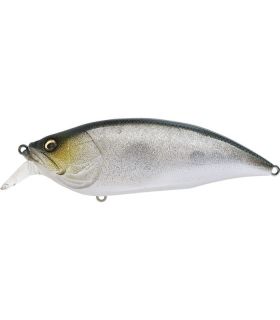 MEGABASS BIG M 2.0 ABLETTE (SP-C)