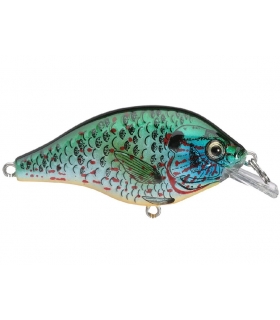 REBEL BLUEGILL PUNKINSEED