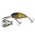 MOLIX SCULPO DR SILENT MOSS BROWN CRAW 201
