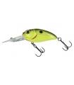 MOLIX SCULPO DR SILENT YELLOW BLACK BACK 589