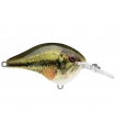 RAPALA DT6 LIVE LARGEMOUTH BASS