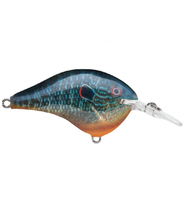 RAPALA DT6 LIVE PUMPKINSEED