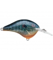 RAPALA DT6 LIVE PUMPKINSEED