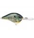 RAPALA DT10 LIVE BLUEGILL