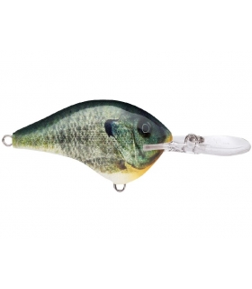 RAPALA DT10 LIVE BLUEGILL