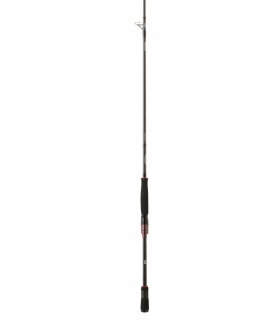 CAÑA DAIWA STEEZ AGS 6'5'' M FAST 5-21 GR SPINNING 1+1