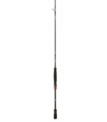 CAÑA DAIWA STEEZ AGS 6'5'' M FAST 5-21 GR SPINNING 1+1