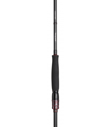 CAÑA DAIWA STEEZ AGS 6'5'' M FAST 5-21 GR SPINNING 1+1