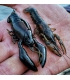 MEGABASS SLEEPER CRAW 5/8 OZ FRENCH PEARL