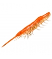 MAGBITE SNATCH BITE SHRIMP 2.5" 01 AKAKIN