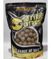 DSA BAITS BOILIES BUTYRIC CITRUS 900GR