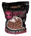 DSA BAITS SOLUBLES BOILIES SQUID-P 2.5KG