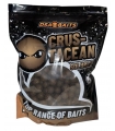 DSA BAITS SOLUBLES BOILIES CRUSTACEAN 2.5KG