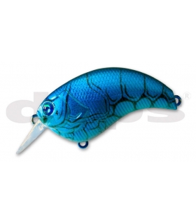 DEPS EVOKE 1.8 13 FLORIDA BLUE