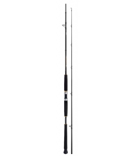 CAÑA SHIMANO BEASTMASTER AX PILK 2.40MT 150-300GR SPINNING 2 TRAMOS
