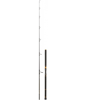 CAÑA CINNETIC RAYFORCE BLASTER TUNA POPPING 2.44MT
