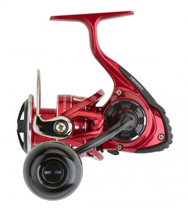 CARRETE DAIWA BG RR LT 4000 D CXH ARK 6.2