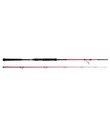 CAÑA CINNETIC MAGLINE CATFISH SPINNING 2.20MT XH 200GR