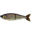 SWIMBAIT REPUBLIC GLIDEWAY 126 EO CARP