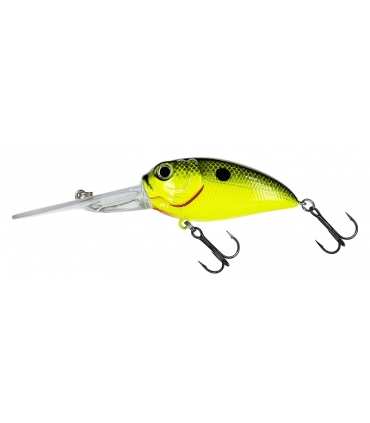 MOLIX SCULPO XD EXTRA DEEP YELLOW BLACK BACK