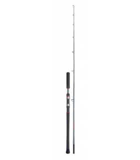 CAÑA FORCEMASTER AX CATFISH VERTICAL 185CM 200GR 1+1PC SPINNING