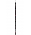 CAÑA COLMIC SONIKA 300 7.00MT 30GR