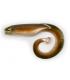 BLACK CAT MEGA CURL TAIL 22CM EEL