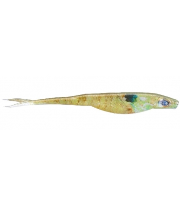 GAMBLER 5" SUPER STUD BLUEGILL