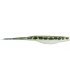 GAMBLER 5" SUPER STUD LIVE BABY BASS