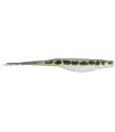 GAMBLER 5" SUPER STUD LIVE BABY BASS