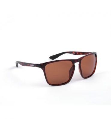 SHIMANO GAFA ULTEGRA TORTOISESHELL & COOPER