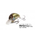 MEGABASS IXI BLOWLY PUMPKIN SEED
