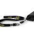 AVID CARP VTX RECEPTOR
