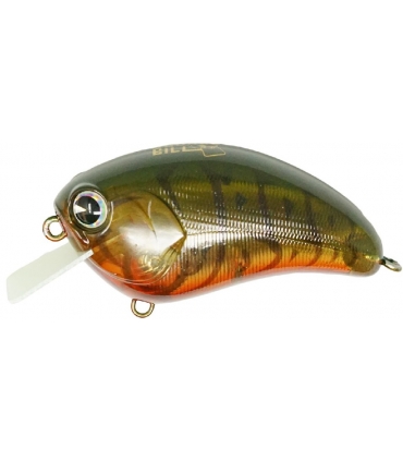 IMA SQUARE BILL LOWEN'S WATERMELON CRAW
