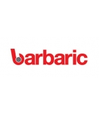 Barbaric